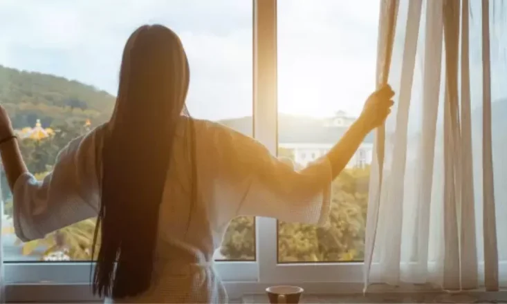 Window Film  Singapore