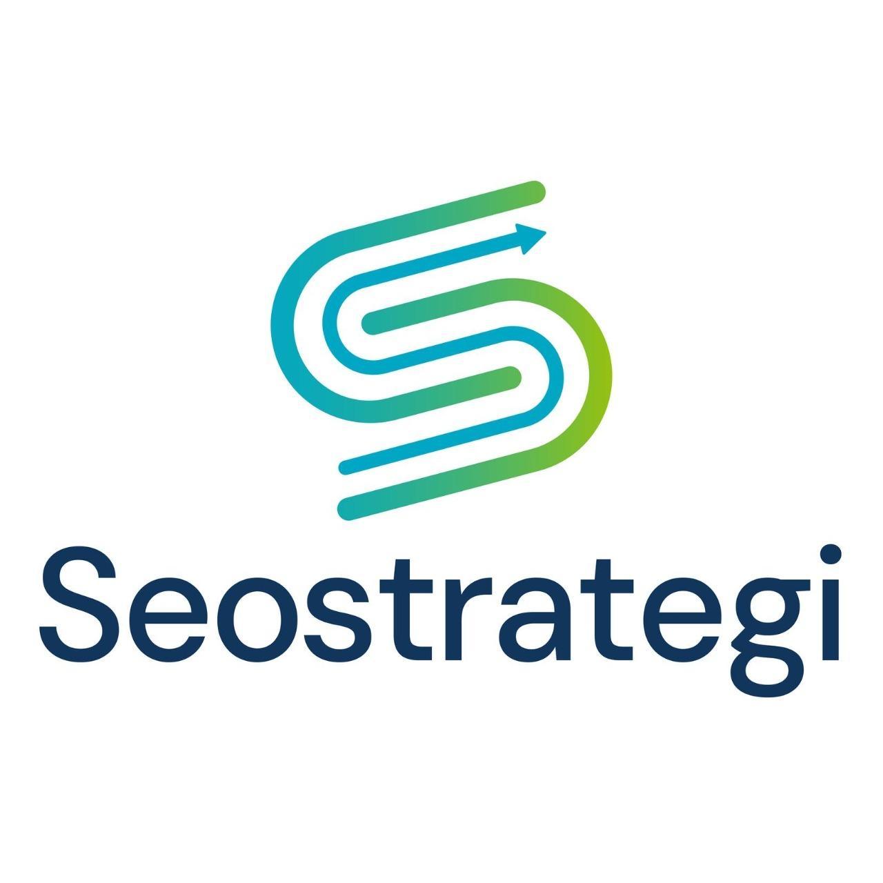 SEO2344 Strategi