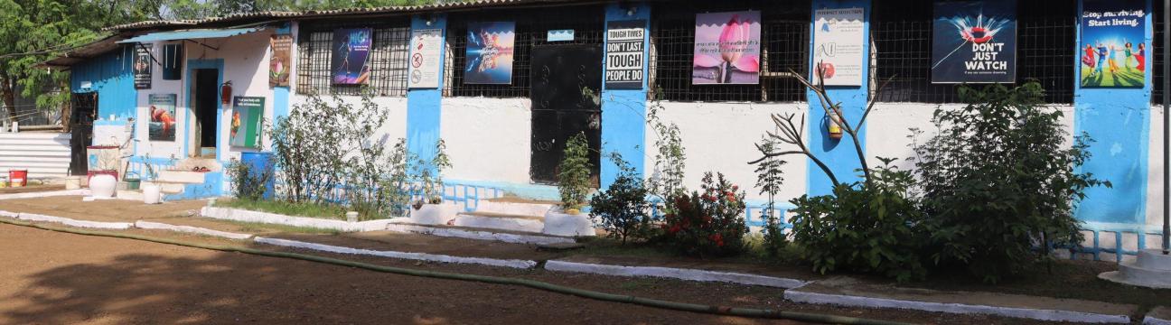 House Of Freedom Foundation