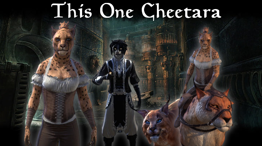 This One Cheetara